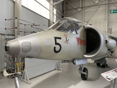 Kesterl - Harrier forerunner
