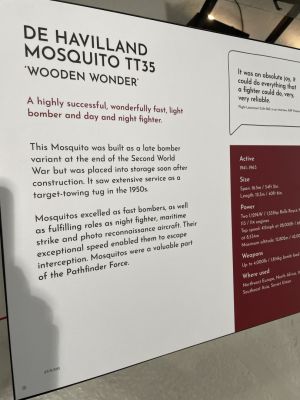 Mosquito
