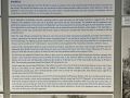 IMG_3970.JPEG
