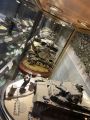 IMG_3981.JPEG