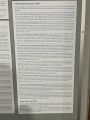 IMG_3989.JPEG