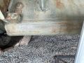 IMG_4094.JPEG