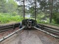 IMG_4123.JPEG
